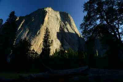 DSC_2454 (Large).JPG